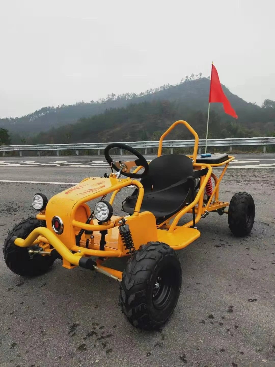 New Desgin Small 125CC off Roa - đánh giá và giá Go Kart Pedal Kids