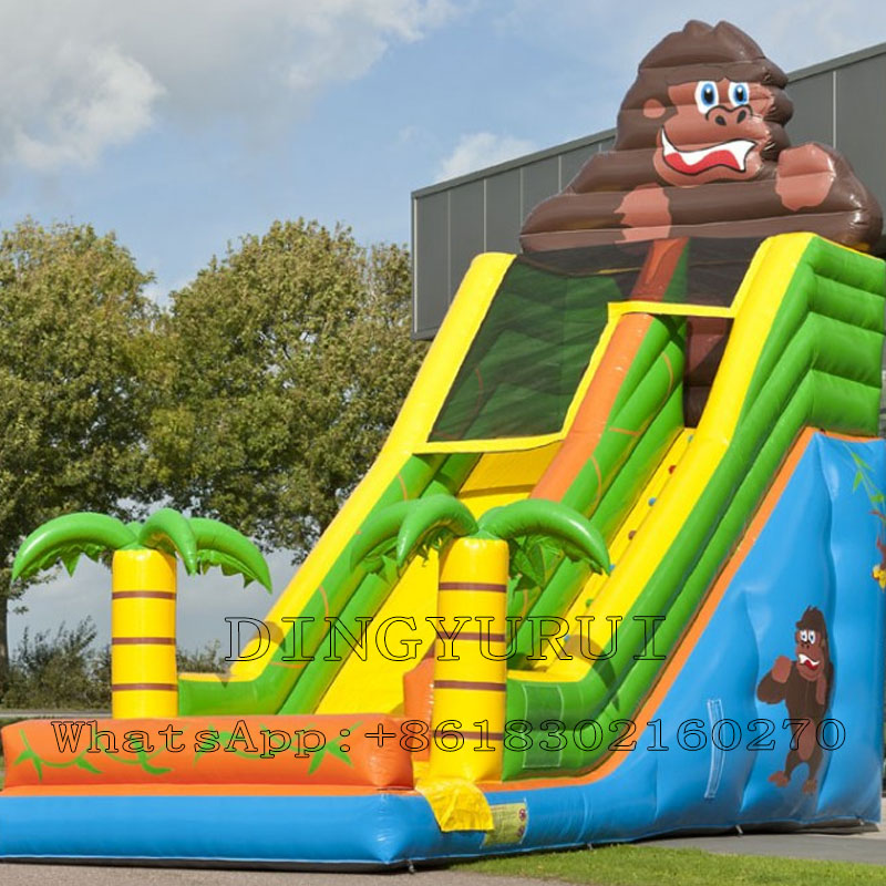Inflatable Slide Large Outdoor - đánh giá và giá Outdoor Kid Friendly